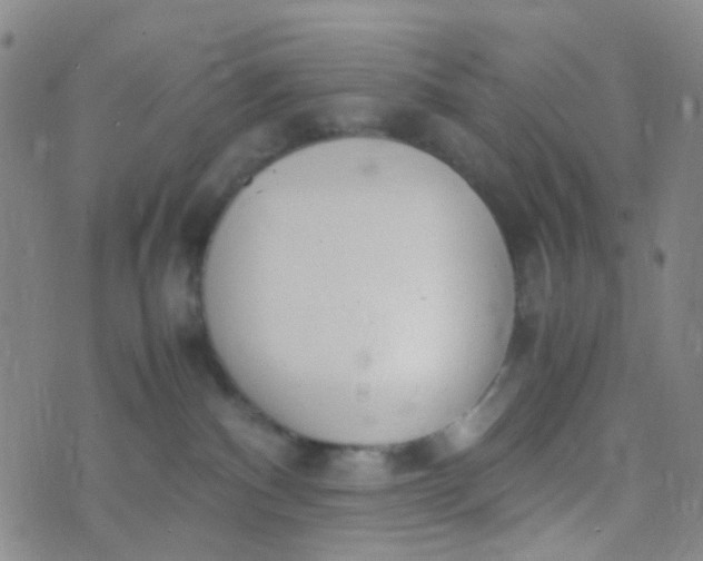 X0000070430140200606231927