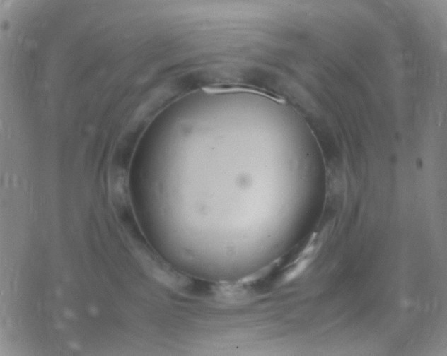 X0000070430141200606231927