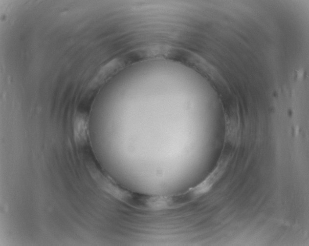 X0000070430142200606231927