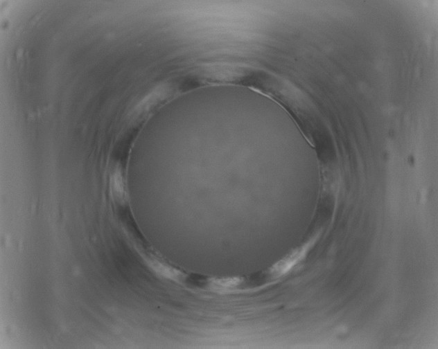 X0000070430143200606231927