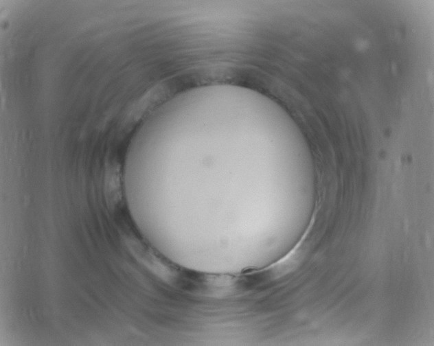 X0000070430144200606231927