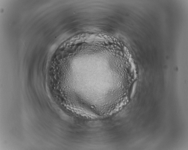 X0000070430145200606231926