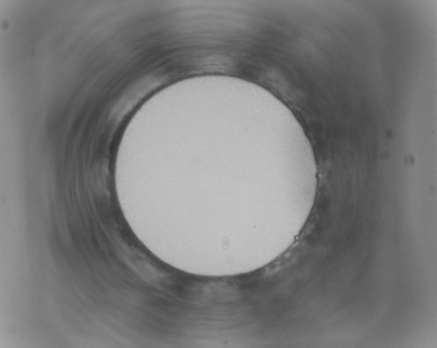 X0000070430146200606231926