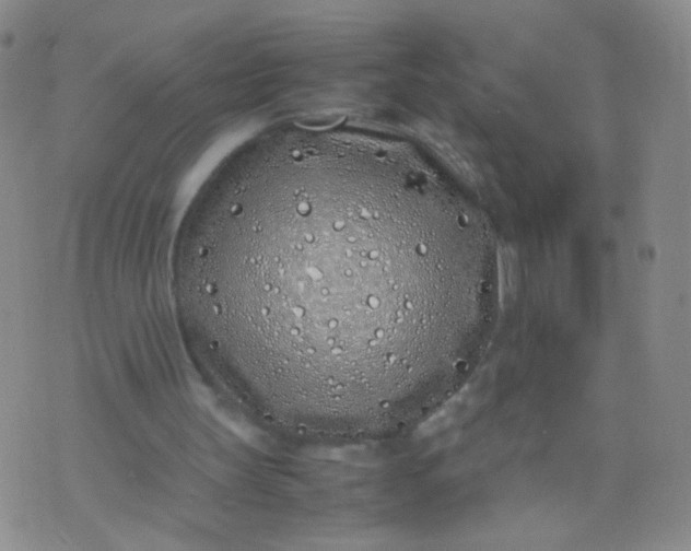 X0000070430147200606231926