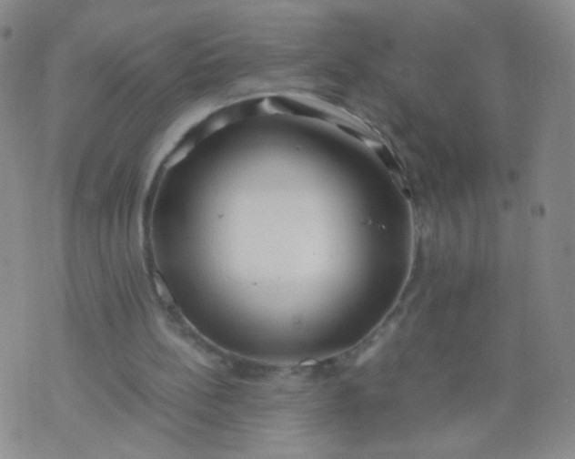 X0000070430148200606231926