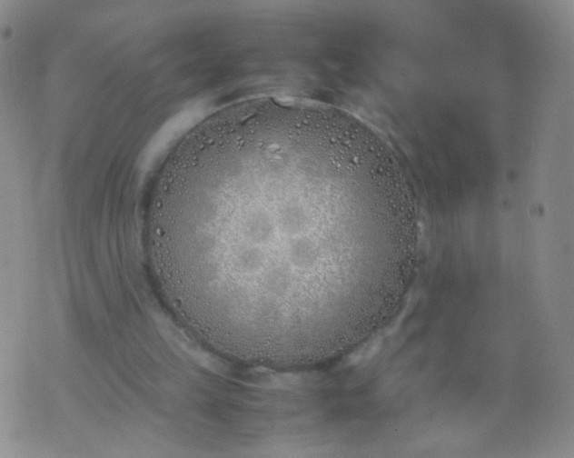 X0000070430149200606231926