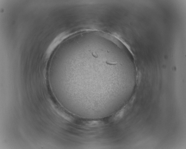 X0000070430151200606231926