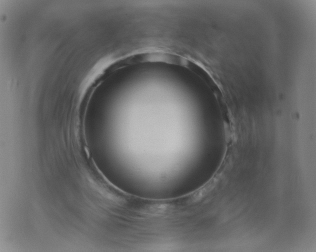 X0000070430152200606231926