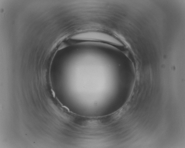 X0000070430154200606231927