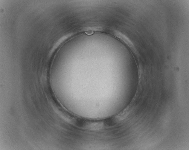 X0000070430155200606231927