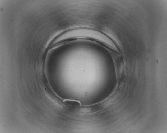 X0000070430156200606231927