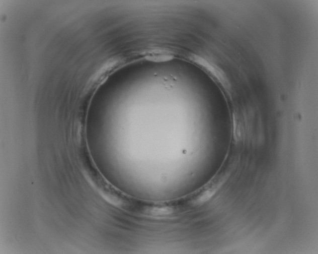 X0000070430157200606231927