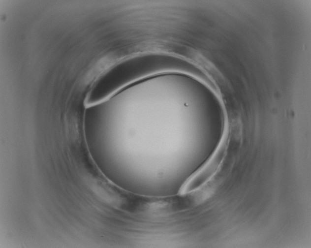 X0000070430158200606231927