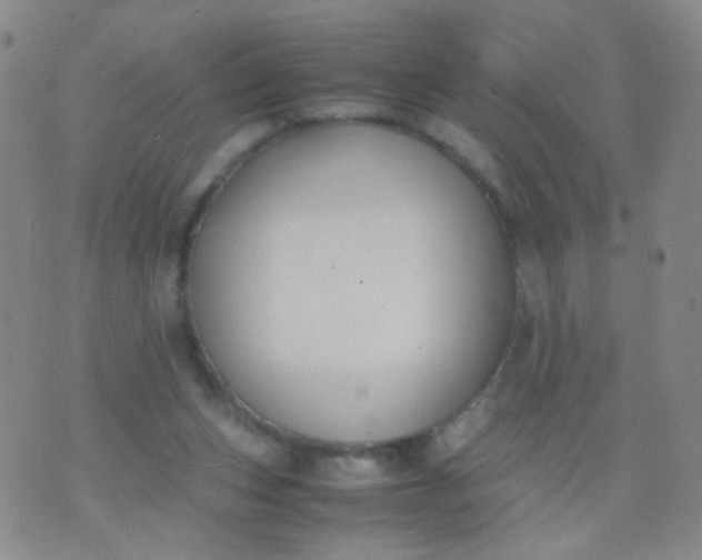 X0000070430159200606231927