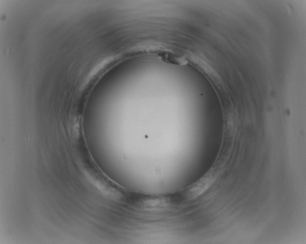 X0000070430160200606231927