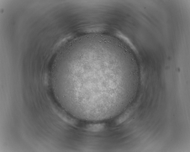 X0000070430161200606231927