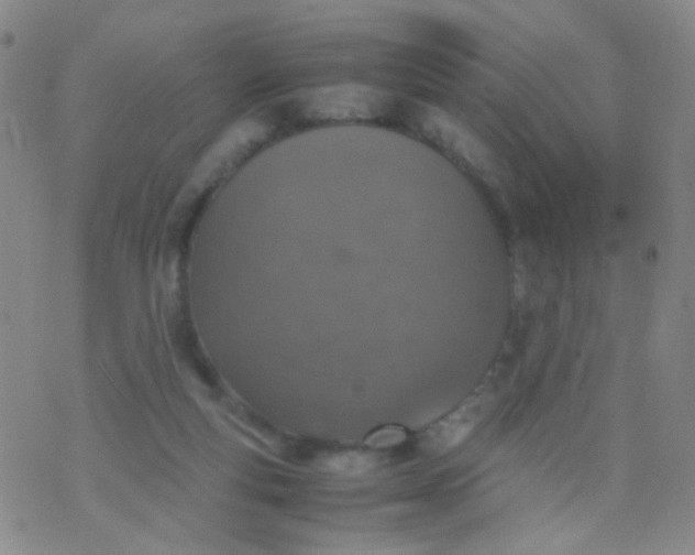 X0000070430163200606231927