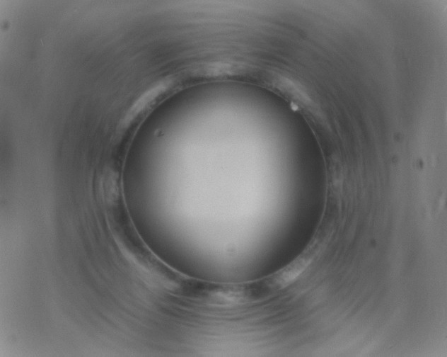 X0000070430164200606231927