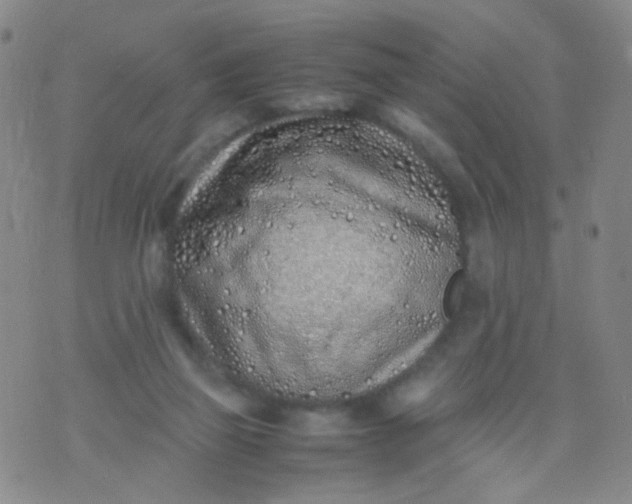 X0000070430165200606231927