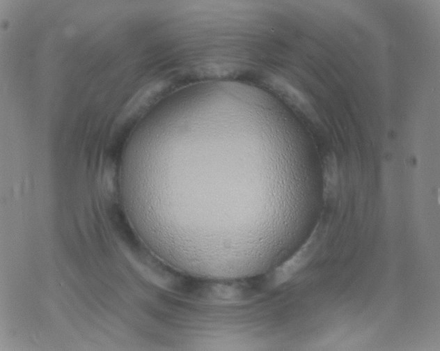 X0000070430166200606231927