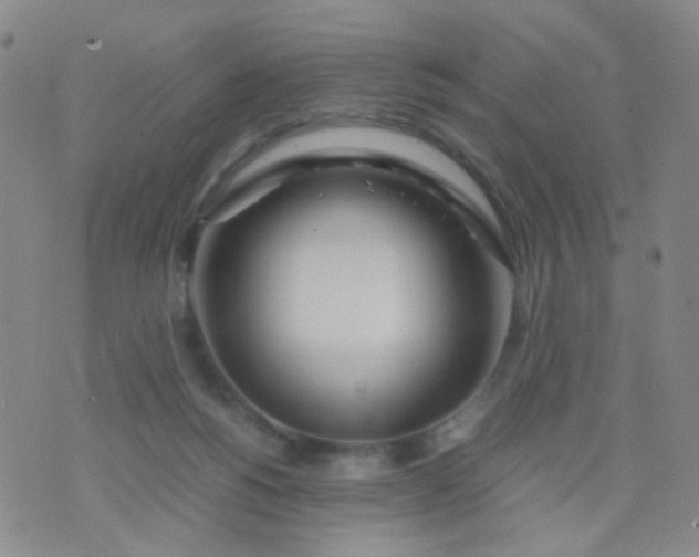 X0000070430168200606231927