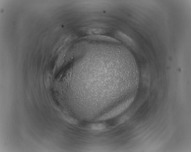 X0000070430169200606231927