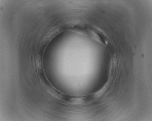 X0000070430170200606231927