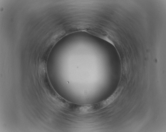 X0000070430172200606231927