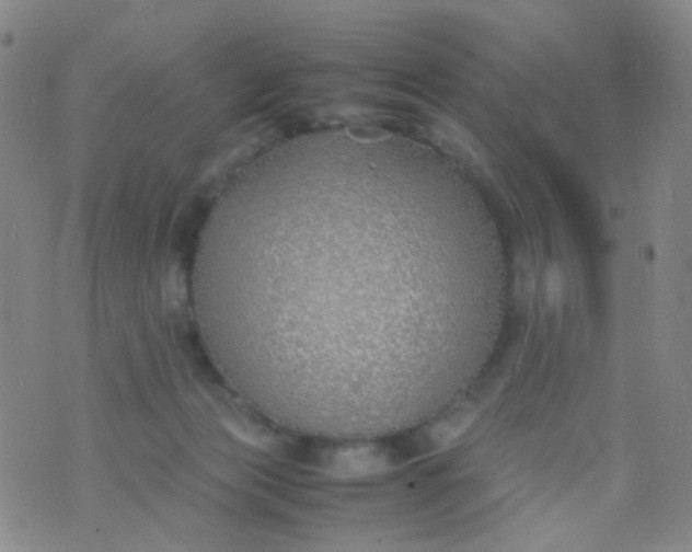 X0000070430173200606231927