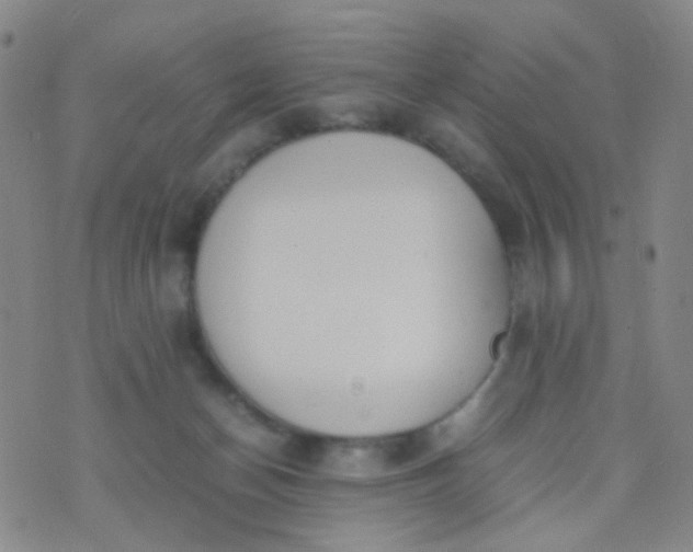 X0000070430174200606231927