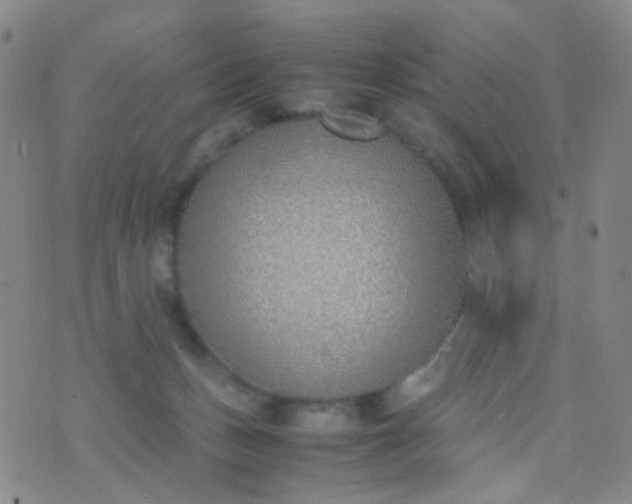 X0000070430175200606231927