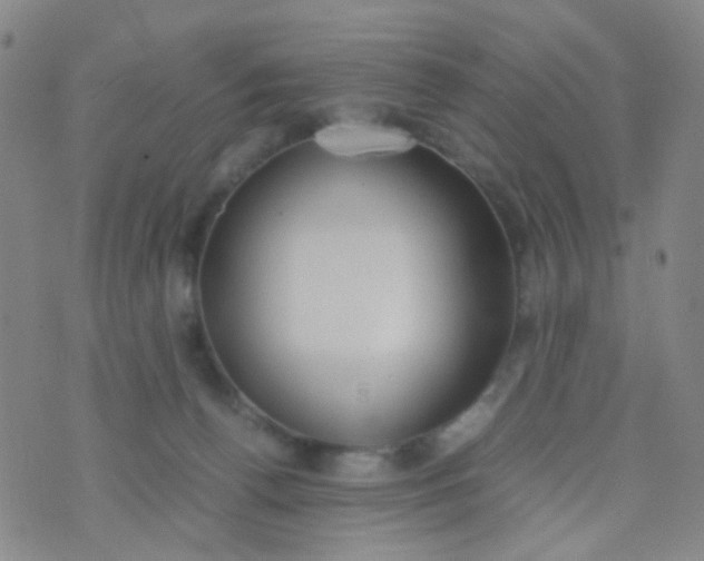 X0000070430176200606231927