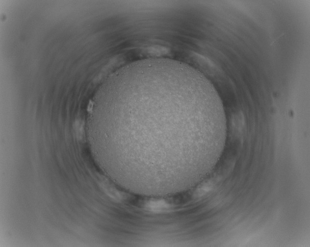 X0000070430177200606231927