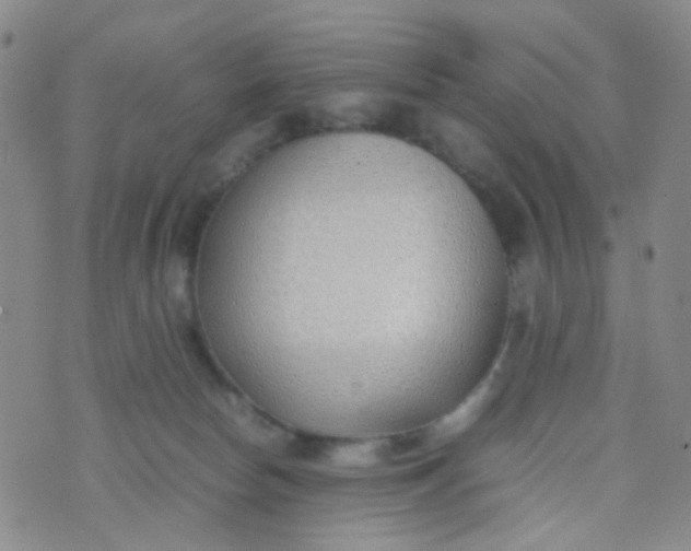 X0000070430178200606231927