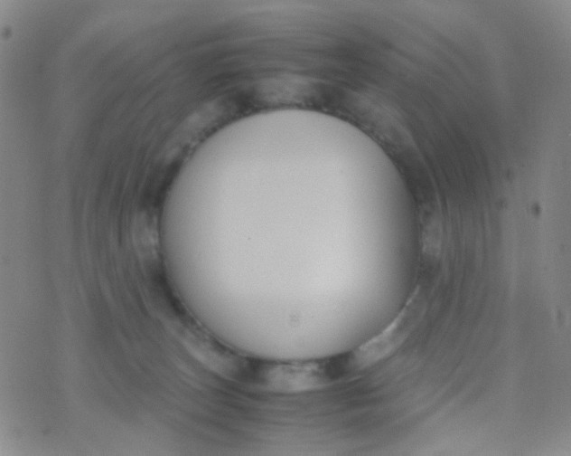 X0000070430179200606231927