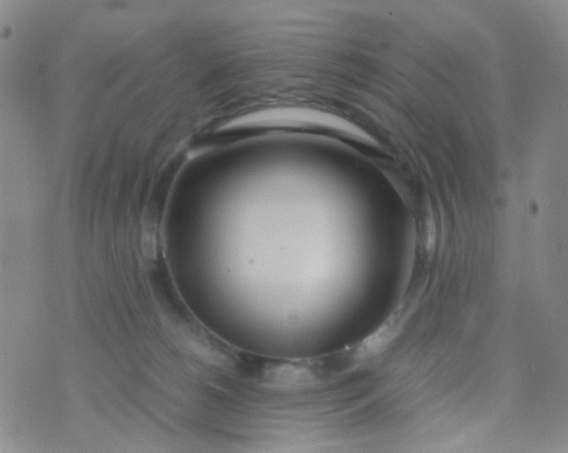 X0000070430180200606231927