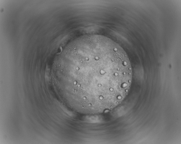 X0000070430181200606231927