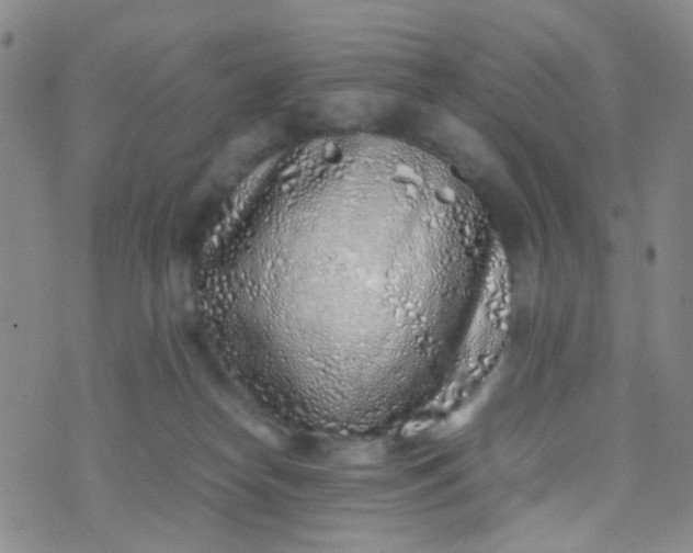 X0000070430182200606231927