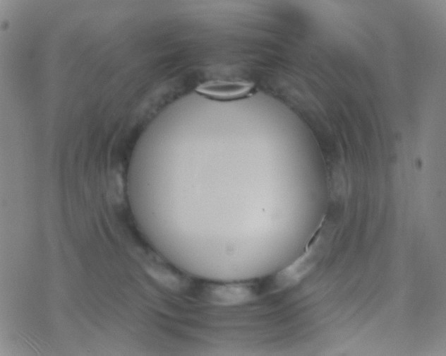 X0000070430183200606231927