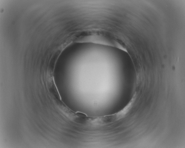 X0000070430186200606231927