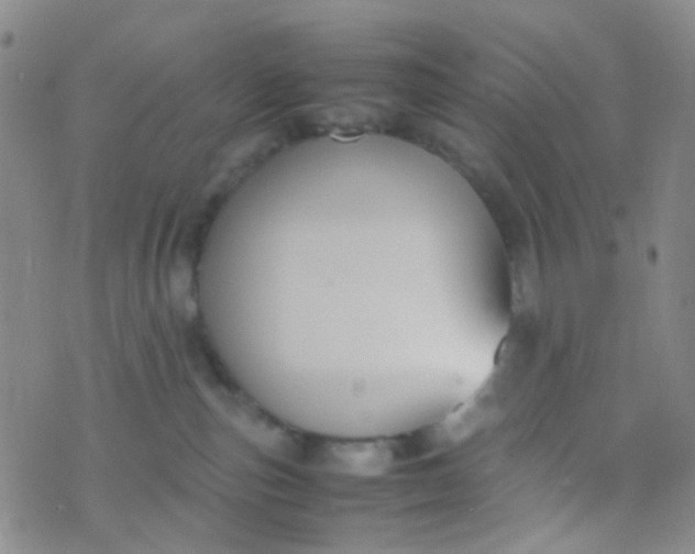 X0000070430187200606231927