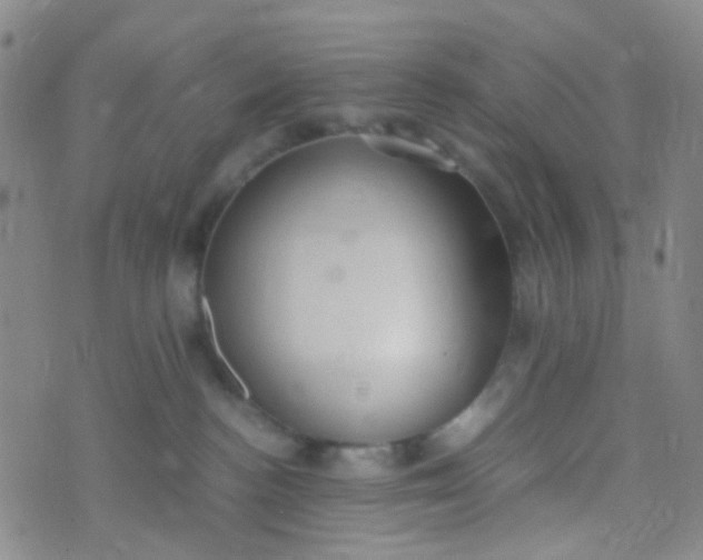 X0000070430188200606231927