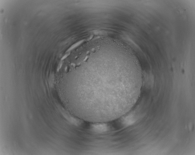 X0000070430189200606231927