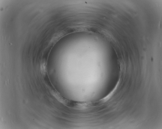 X0000070430190200606231927