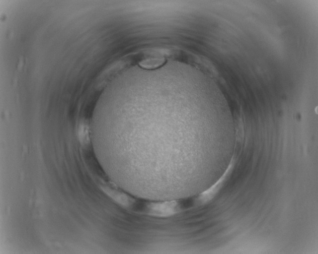 X0000070430191200606231927