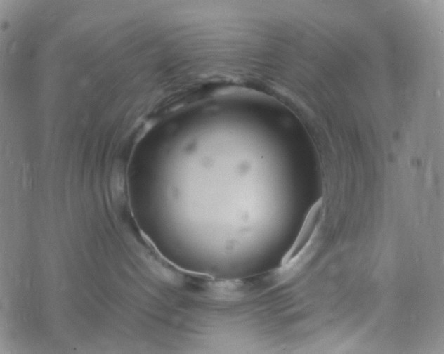 X0000070430192200606231927