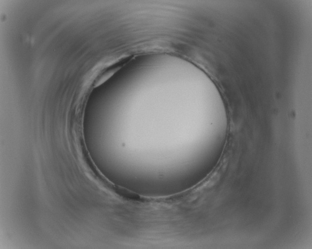 X0000070430193200606231926