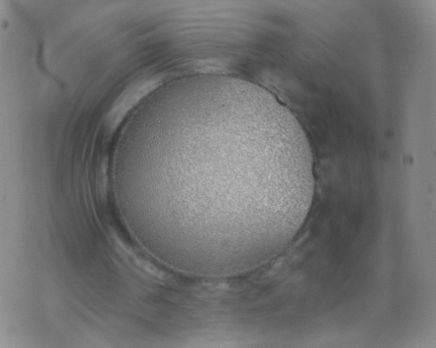 X0000070430194200606231926