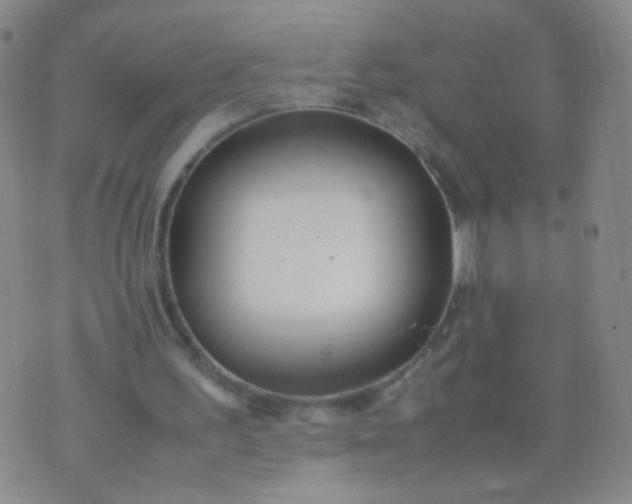 X0000070430195200606231926