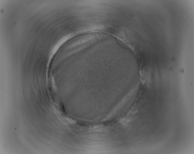 X0000070430196200606231926